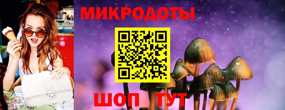 Псилоцибиновые грибы Psilocybine cubensis  Вход с VPN  Таганрог 