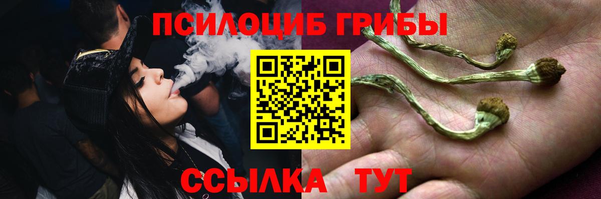 Псилоцибиновые грибы GOLDEN TEACHER Таганрог